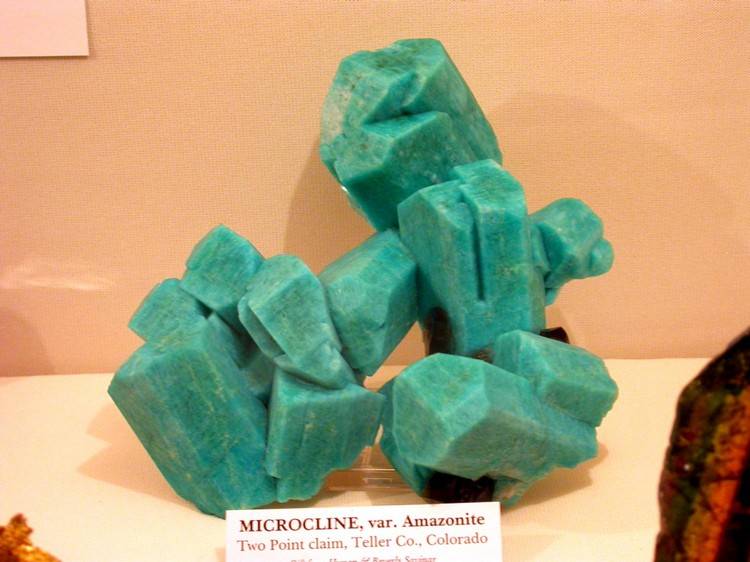DSCN3247.jpg